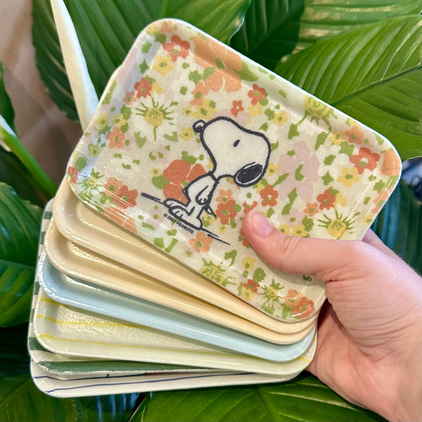 Retro Snoopy & Richard Scary Trays