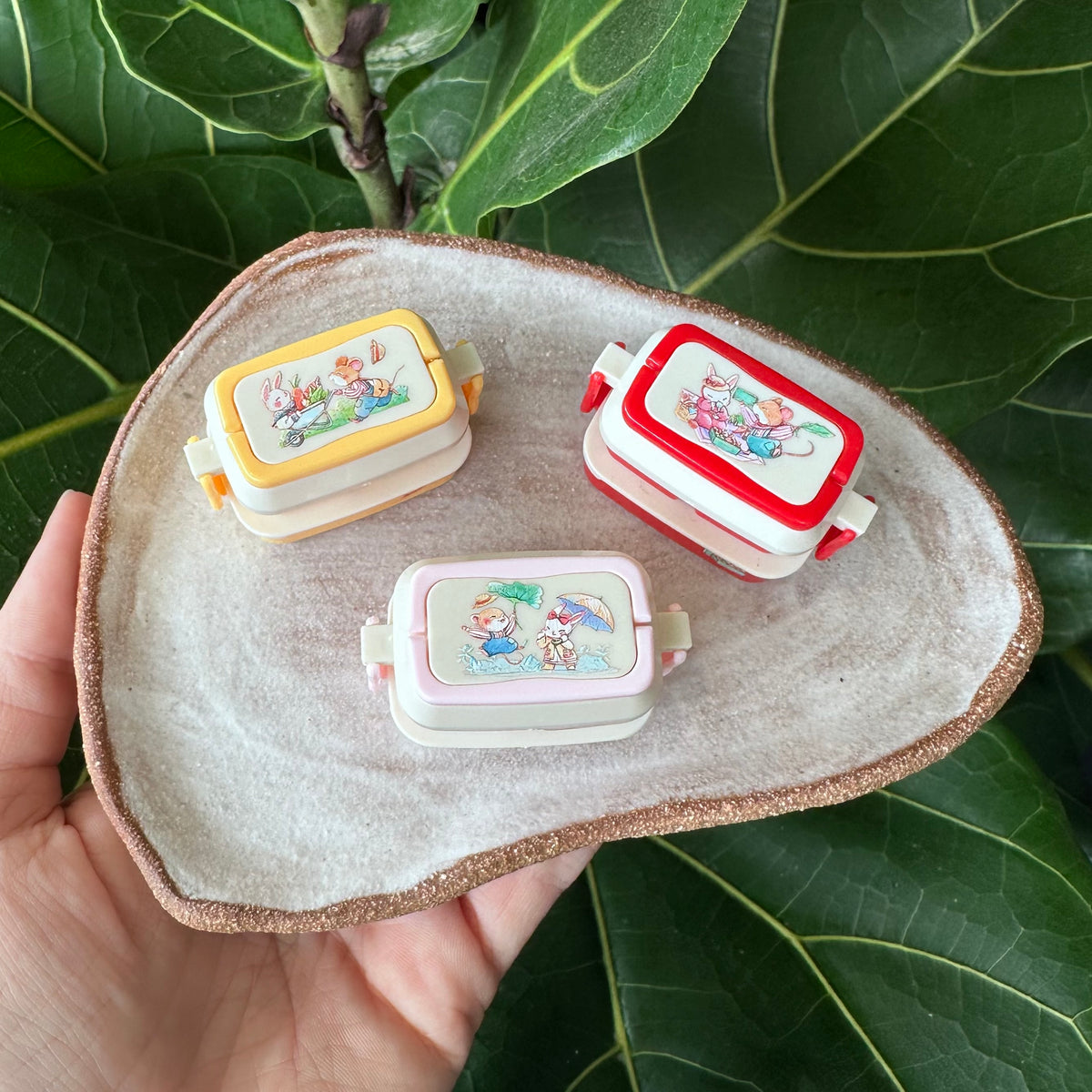 Mini Lunch Box