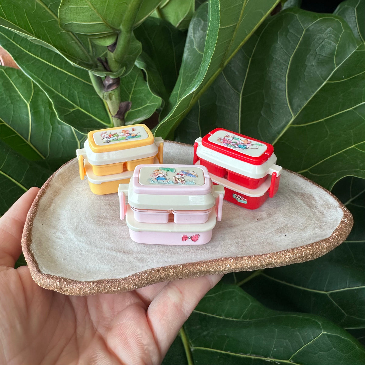 Mini Lunch Box