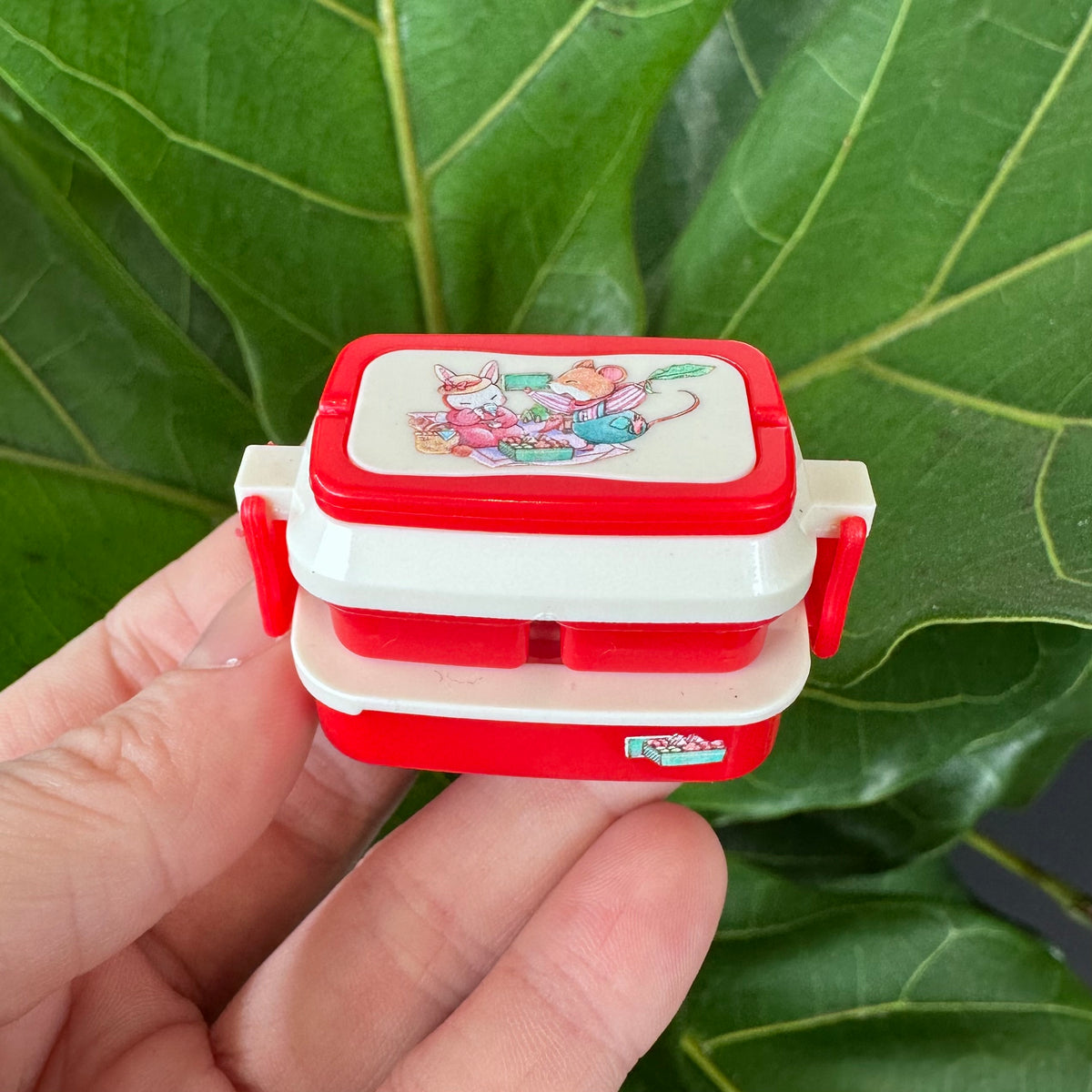 Mini Lunch Box