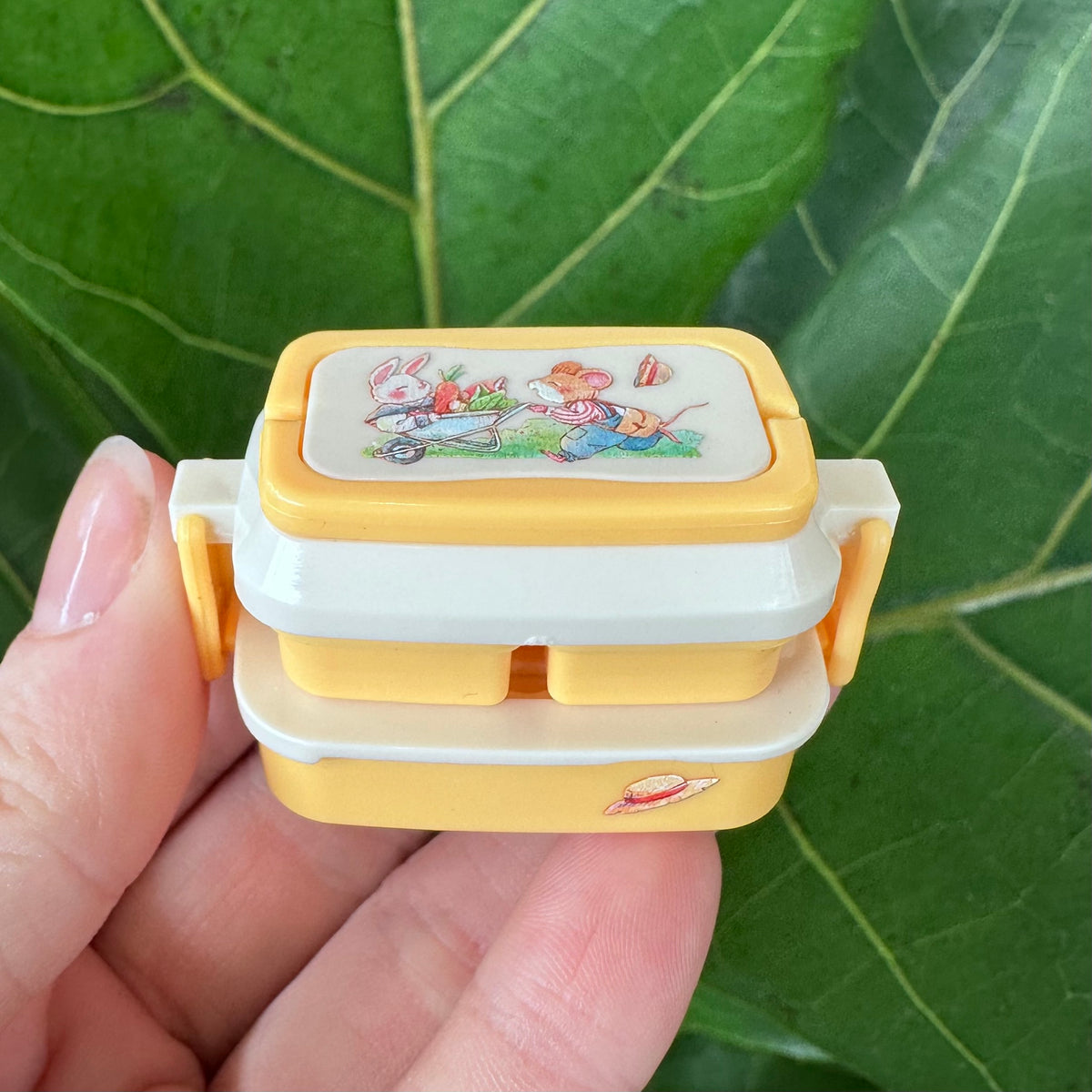 Mini Lunch Box