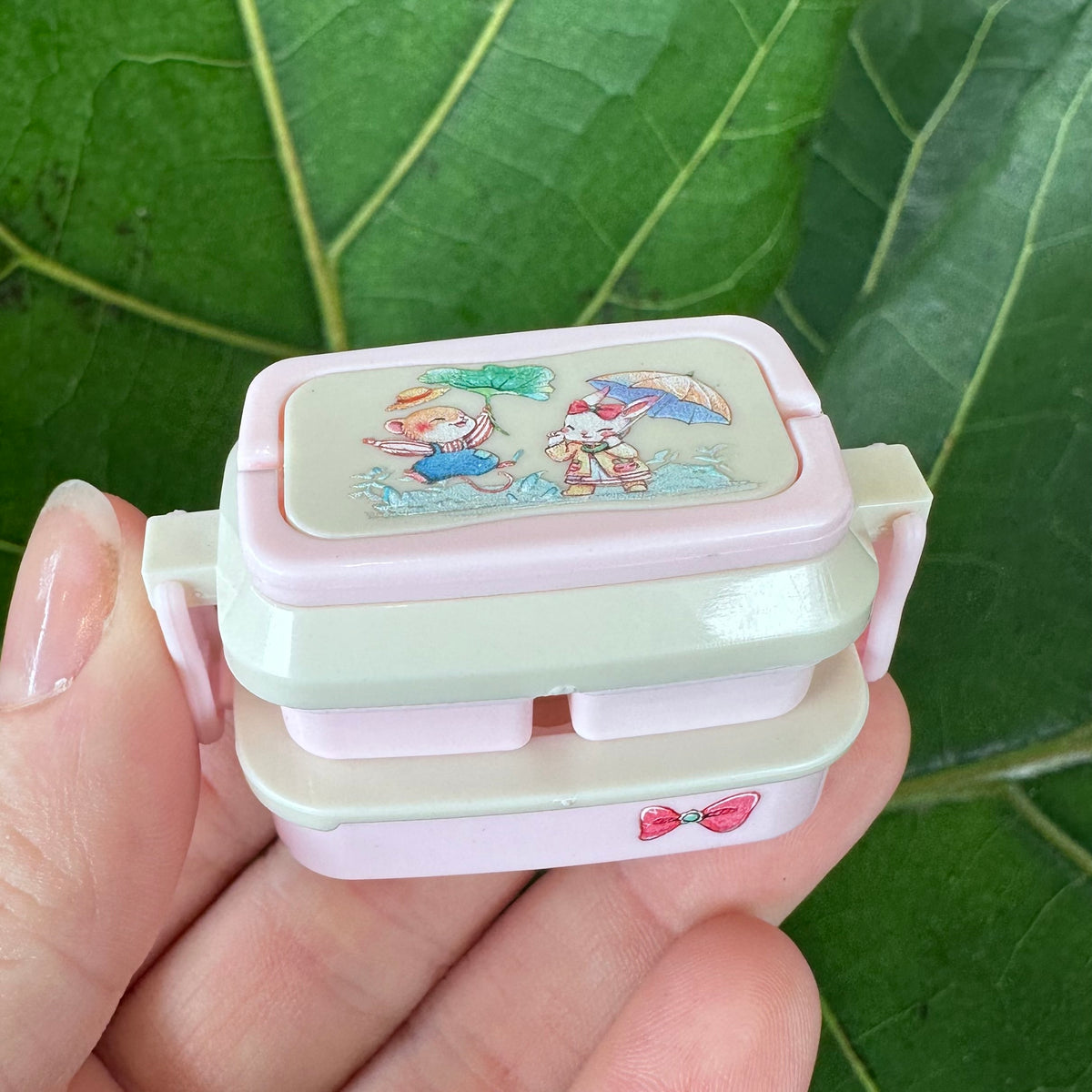 Mini Lunch Box