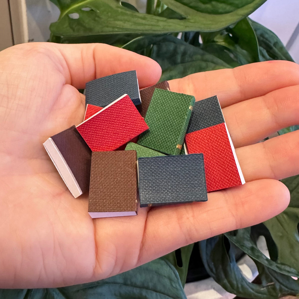 Mini Books