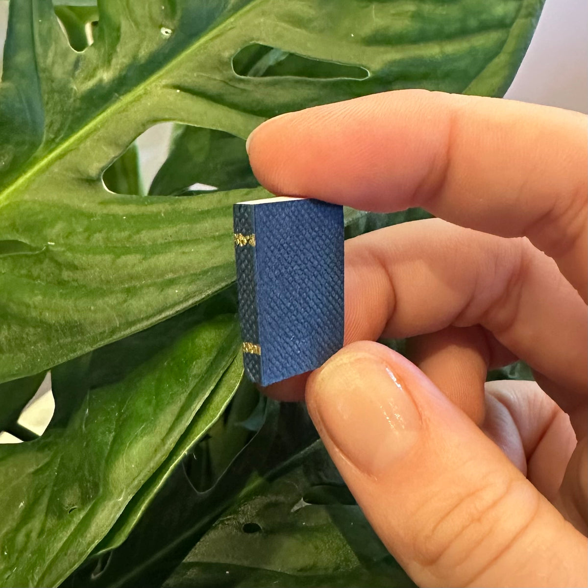 Mini Books