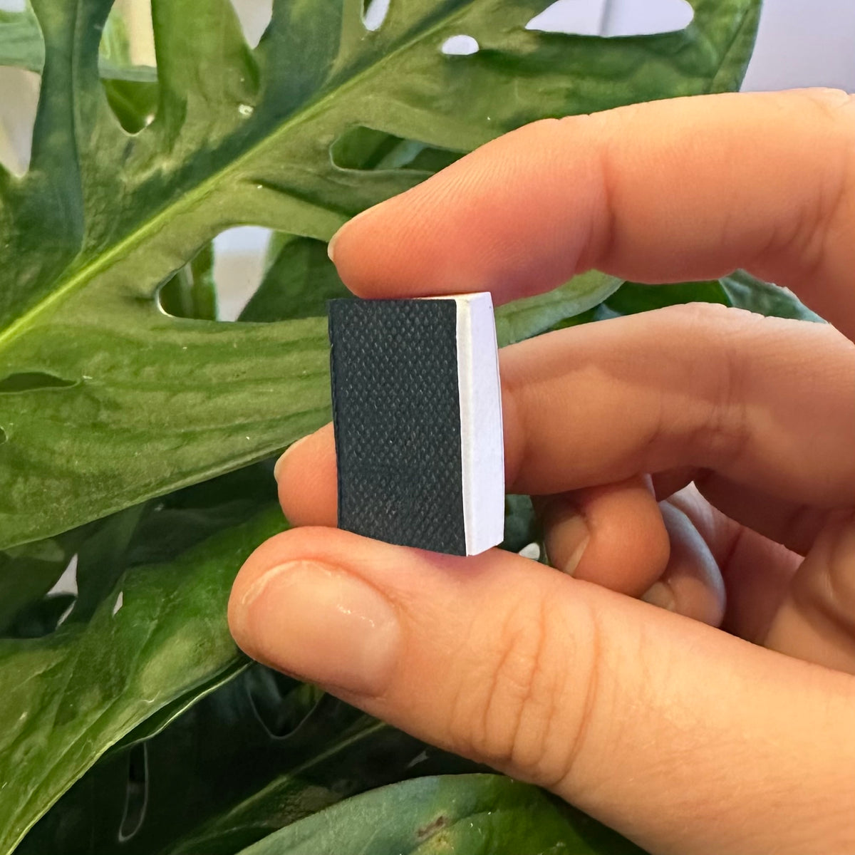 Mini Books