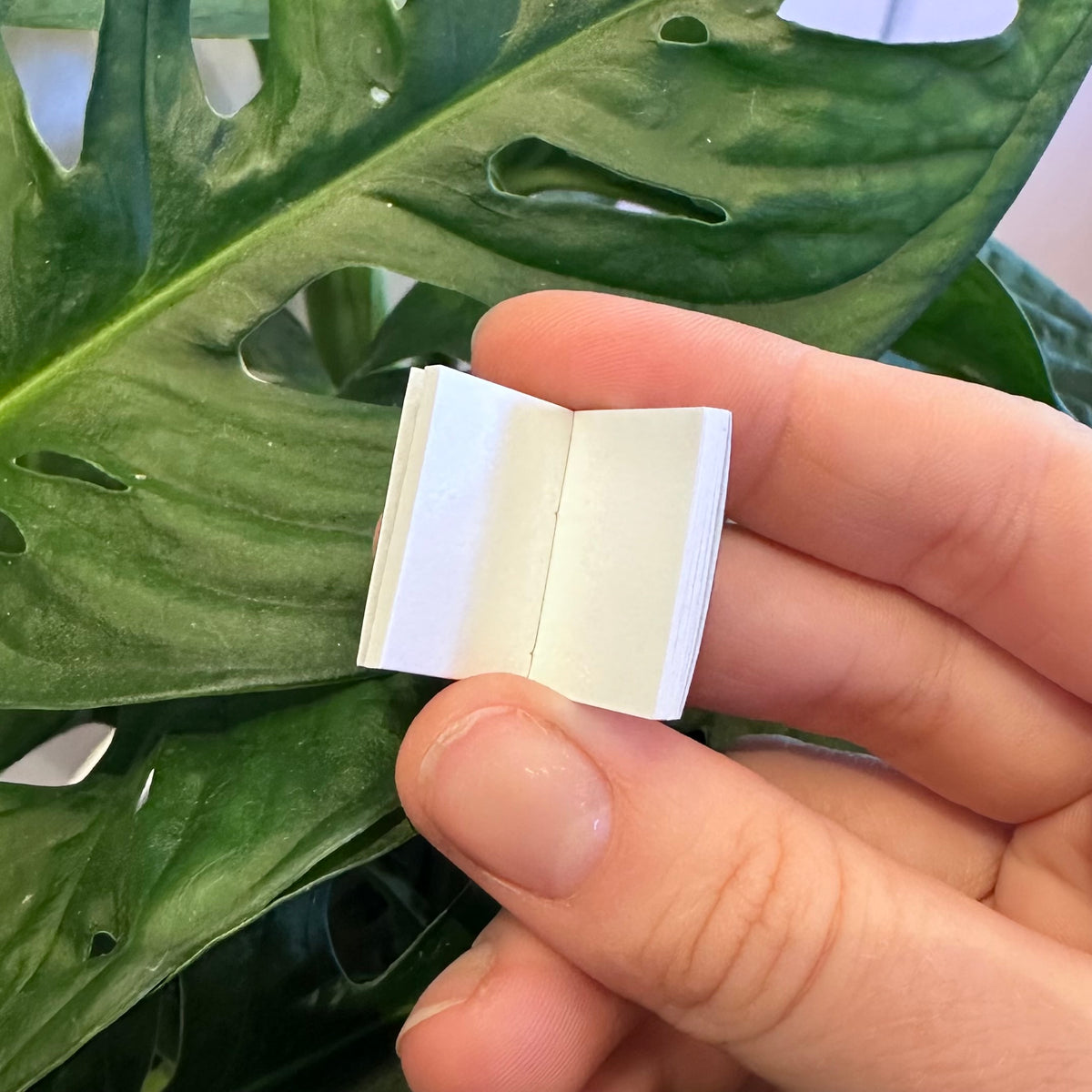Mini Books